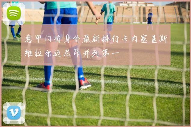 意甲门将身价最新排行卡内塞基斯维拉尔迈尼昂并列第一