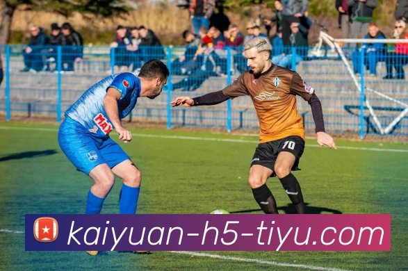 开元体育APP 高清赛事图